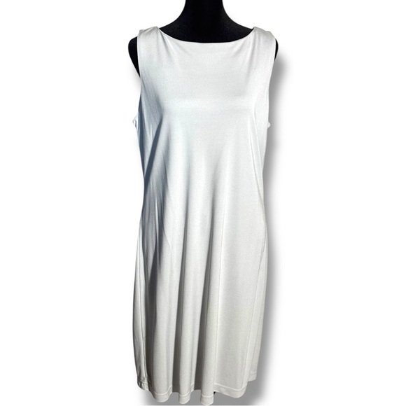 New York & Company Dresses & Skirts - New York & Company Elegant Sleeveless Light Gray Knee Length A-line Mini Dress